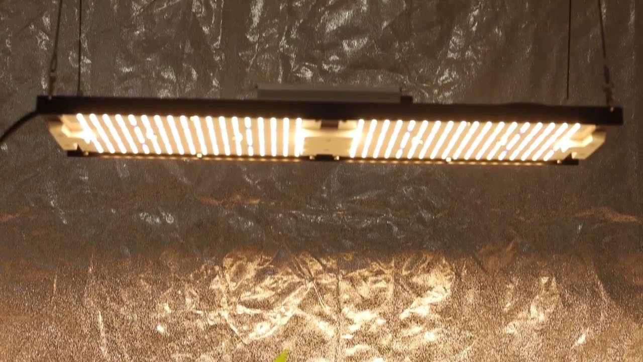 Kingbrite 2022 version CL-240W grow lights