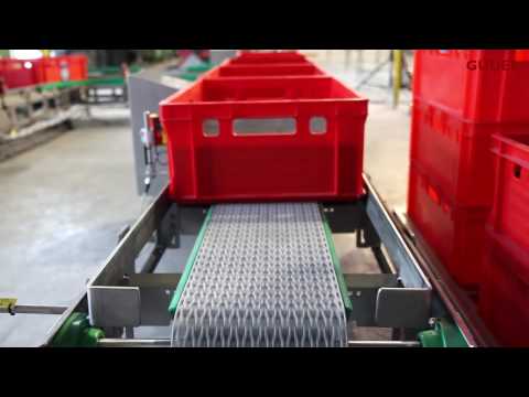 Güdel 3 Axis Linear Module With Gripper