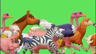 Raungan Dinosaurus Menakuti Semua Hewan – Layar Hijau | Kartun Hewan menyerbu layar hijau #stampede