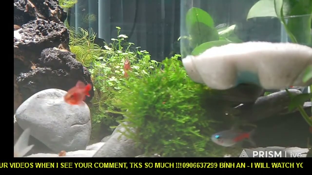 01022026 565   Unlock 100% Brain Power & Music for Mental Clarity 