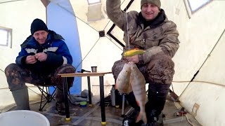 ШОК! МЕШОК РЫБЫ ЗА НЕСКОЛЬКО МИНУТ/ ЛОВИЛИ ПО ДВА ОКУНЯ НА ОДИН КРЮЧОК / fishing