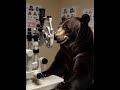 Hillbilly Bear|Visit To The Eye Doctor