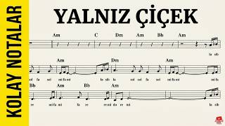 YALNIZ ÇİÇEK--(Kolay Nota)--Am--:Guitar,Violin,Flute,Keyboard,Melodica,Recorder,Ukulele.