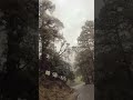 पहाड़ों की बारिश #barish #pahadokibarish #barishkamaza #hillsrain #rainkimoj #pahadokasukoon