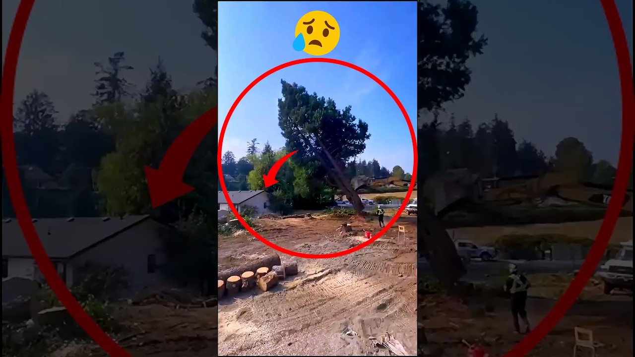 Save Houses With This Smart Tree Cutting Trick!