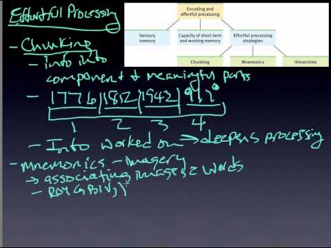 module 23.4 Effortful processing.mp4