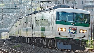 185系最後の大増発？特急踊り子号20本運行！【2019GW】東京駅→真鶴駅 5/2-01