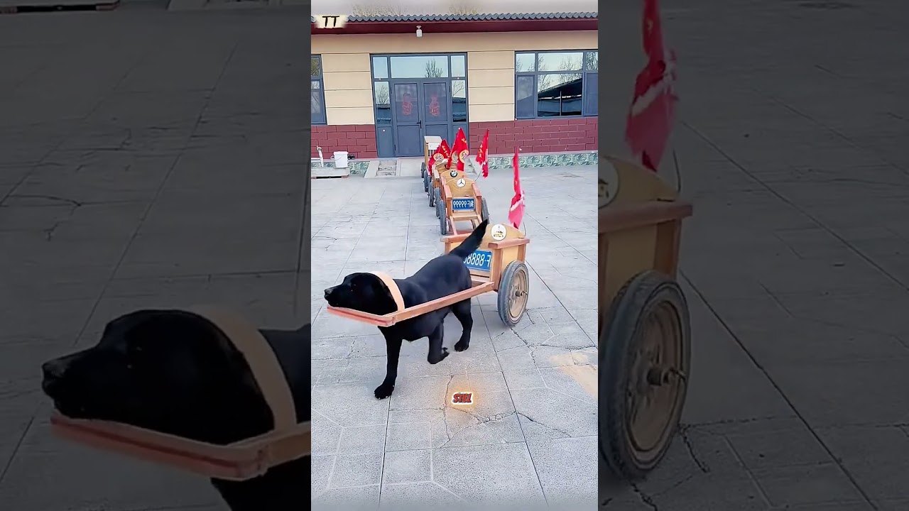 Everyone's Racing to Finish Their Jobs 😂⏰ #viral #shorts #popular