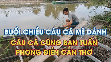 BUỔI CHIỀU CÂU CÁ SÔNG Ở CẦN THƠ - ĐIỂM CÂU PHONG ĐIỀN CẦN THƠ