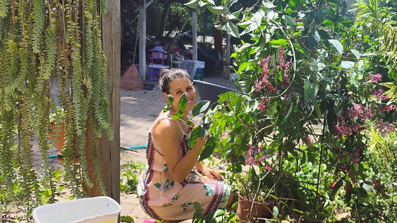 🔴Arrumando Jardim e Podando Plantas