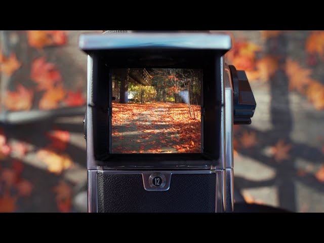 Hasselblad 503cx Shooting Fujichrome Velvia100 Reversal Film