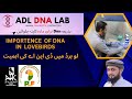 Importance and benefits of DNA in Love birds. #lovebirds #lovebird #palefellow #dna #palefallow