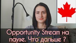 Альберте не нужны иммигранты? Как быть и что делать дальше. Мы в Канаде