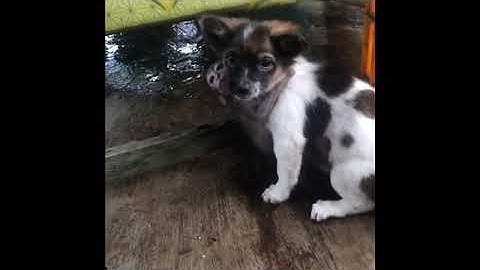 Những Tình Huống Hài Hước Cười Ra Nước Mắt.