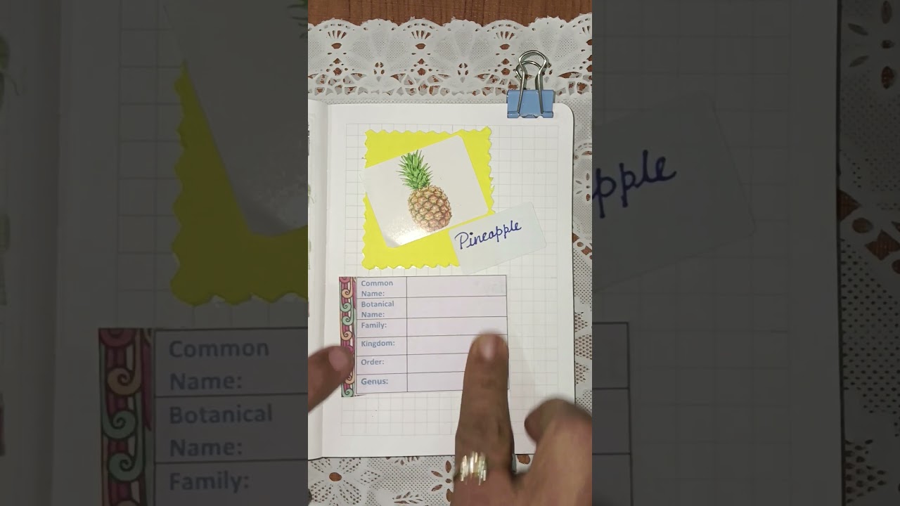 My Aesthetic Scrapbooking | Pineapple Fruit Botanical Insights 
