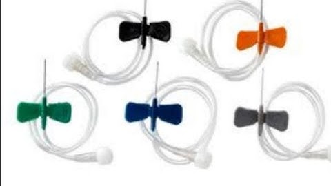 Scalp Vein or Butterfly Vein