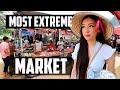 Extreme Food Market in Northern Vietnam - Pu Luong *WARNING*