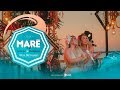 Capture de la vidéo [Live] Maré 2 - Manu & Rebeca