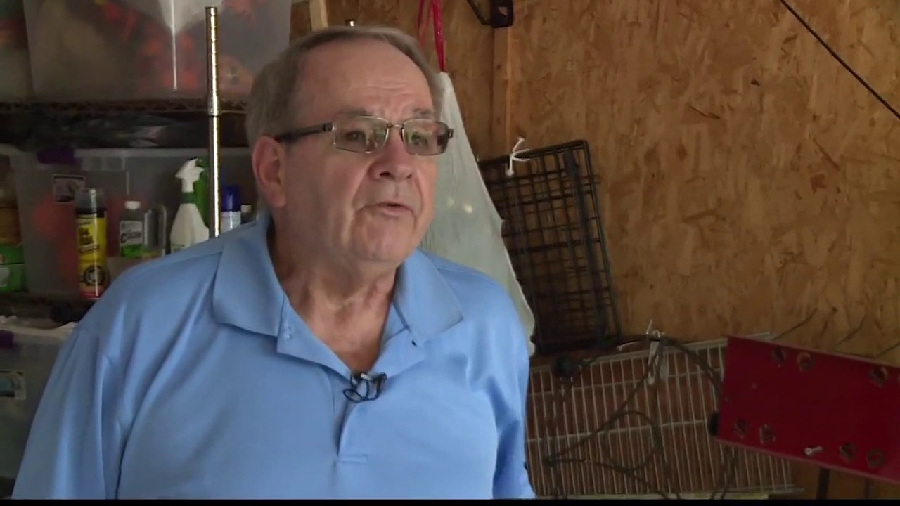 Does lemon law cover new appliances? YouTube