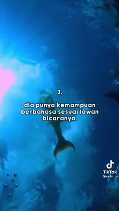 ALAIA Dewi laut campuran mermaid dan siren