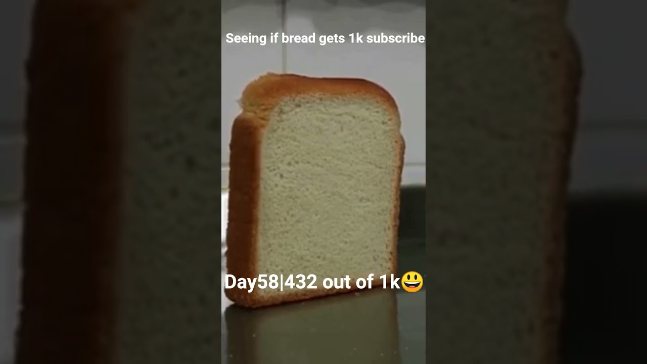 Bread Challenge Will We Reach 1K Subscribers Shorts YouTubeGrowth 1KSubscriber