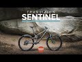 Transition Sentinel Review