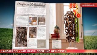 Landspiegel 12011 Ausgabe Februarmärz