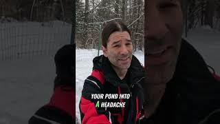 Avoid these pond mistakes! 🚨 Watch before you start! #ponds #gardeningtips