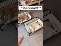 猫が床で寝ると風邪を引くんですか普通の家で寝ると蒸し暑いですか。この行軍ベッドの地上設計は一挙両得です！#猫用ベッド#猫用軍用ベッド#ペット用品#犬用ベッド#🐱❤️です