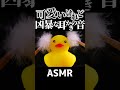【ASMR】可愛いけれど狂暴です♡どちゃくそ気持ちイイ鼓膜耳かきの音👂もはや人ですらないアヒルさんと食パンくんに🦆🍞手作りマイクを突っ込んでヂリヂリ強力なマイクブラッシング🤤睡眠導入😪 #Shorts