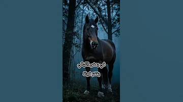 الحصان يرى ما لا يراه البشر الجني كان ينتظره قصص رعب الجن حكاية مرعبة مشهد رعب خيال مرعب 