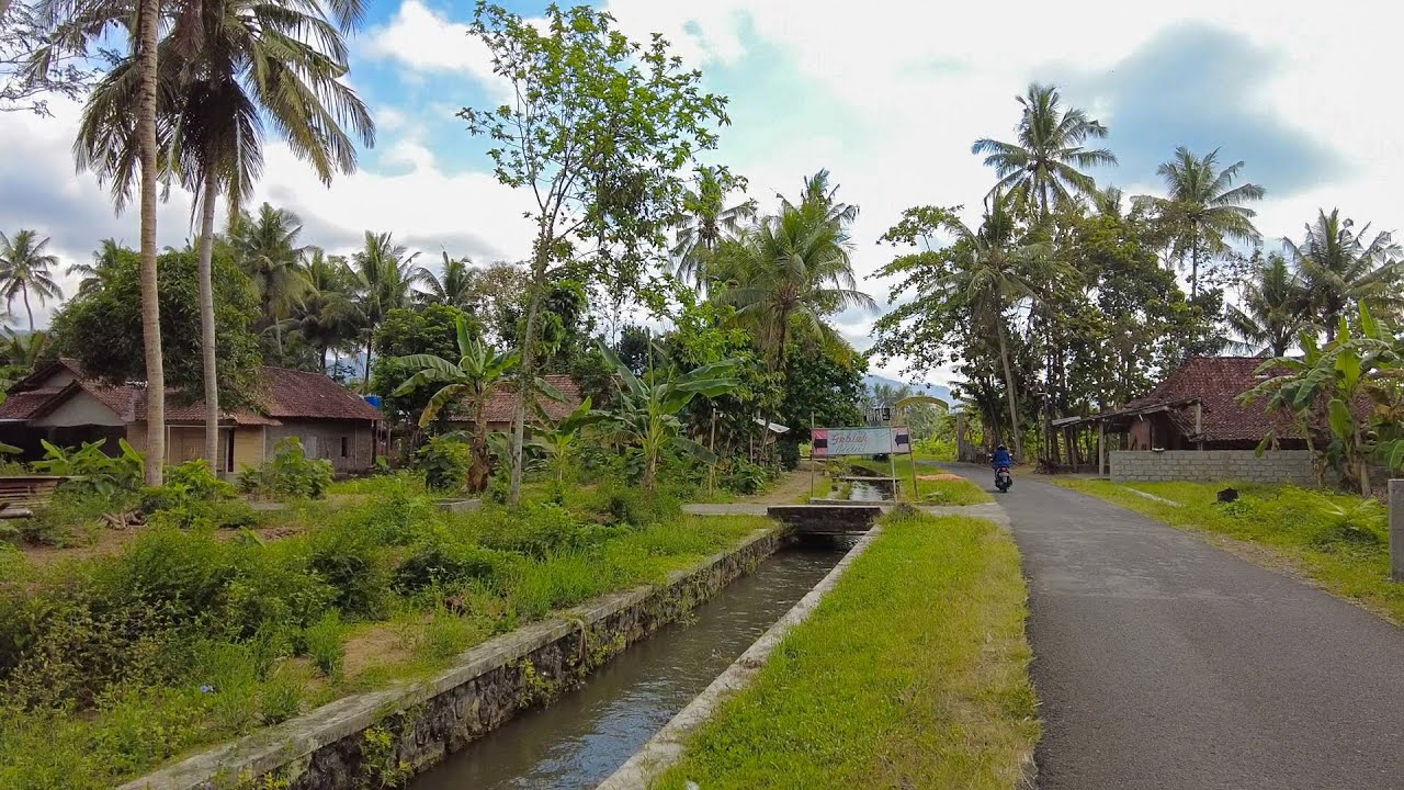 Вирусная деревня! Нанггулан Кулон Прого Сельская атмосфера, много людей посетили