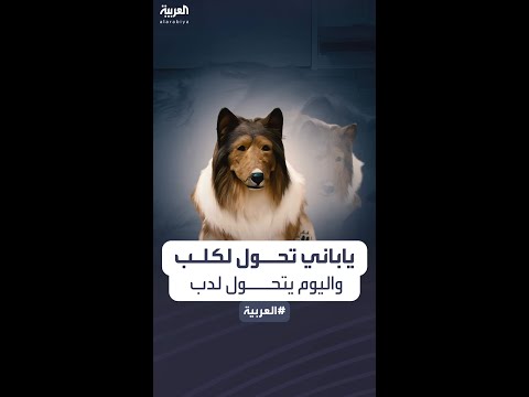 الياباني الذي حول نفسه إلى كلب يسعى اليوم للتحول إلى حيوان آخر