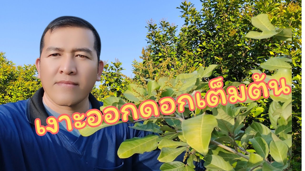 #15มกราคม2026