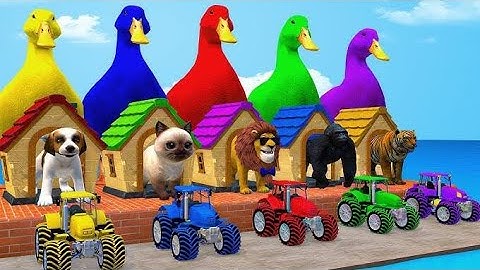 Paint Animals Long Slide Game Cow Elephant Dog Gorilla Lion , Fountain Crossing Transformation#share