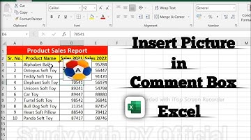 How to Insert Picture in Comment Box in excel | Insert image in excel cell | Study with DY official