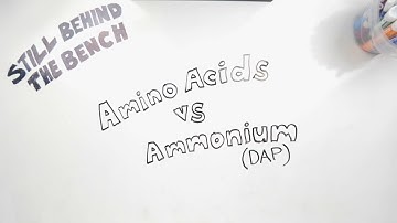 Ep 032 - Amino Acids vs Ammonium (DAP)