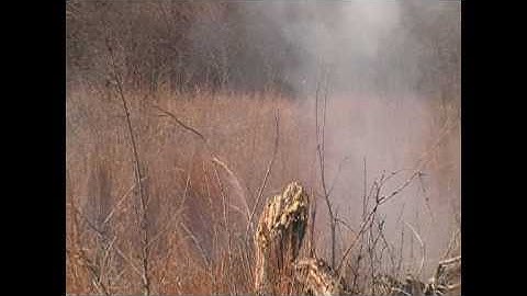 Tannerite "NO.....BETTER!!"  Sure Shot Targets