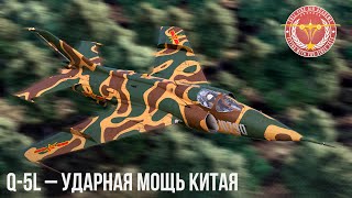 : Q-5L -     WAR THUNDER