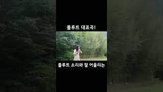 아를르의 여인_플룻 추천 연주곡 flute 플루트 플루트연주