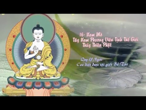 Video Sám Hối 35 Đức Phật- Thích Quán Giải - 2016 - youtube