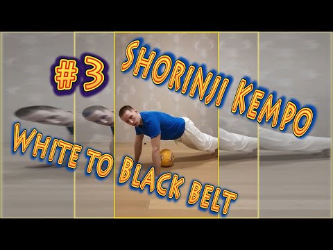 3.Increase strength in martial arts. The technique of correct push-ups. Shorinji Kempo.少林寺拳法