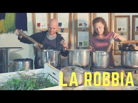 Video: Robbia (erba) - Proprietà Utili E Applicazione Di Robbia, Estratto Di Robbia, Radice, Fiore E Tintura Di Robbia. Colorante Robbia