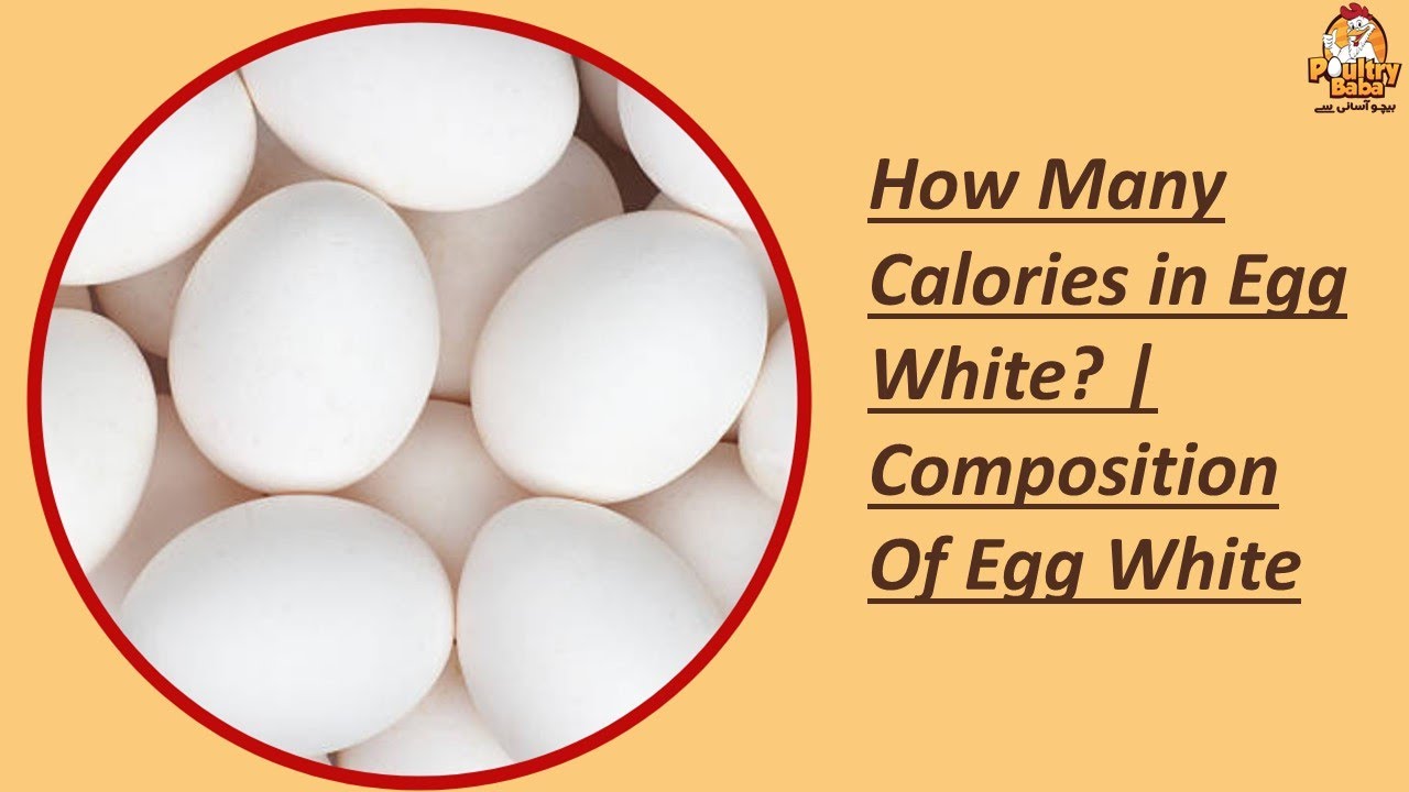 How Many Calories In Egg White? | Composition Of Egg White