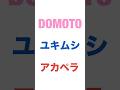 💙DOMOTO❤️ユキムシ😆😍アカペラ✨ #DOMOTO #堂本剛 #堂本光一 #shorts #ユキムシ