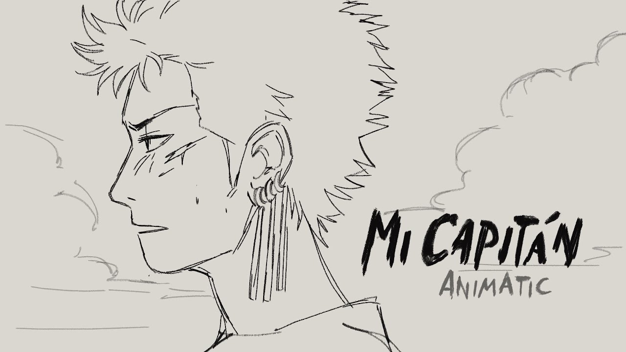 MI CAPITAN - one piece animatic