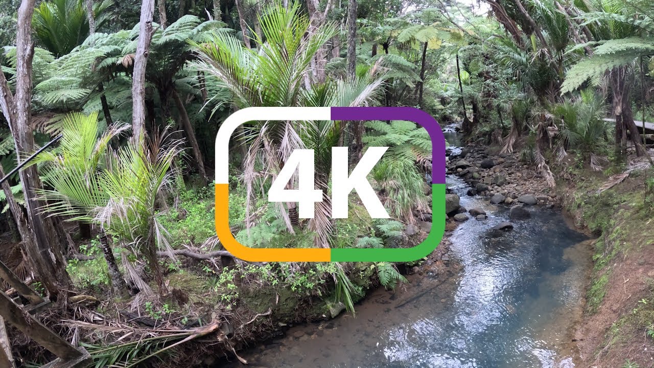 Beautiful Real Relaxing River 4k 💦 Different Footage 🥬☘️🌿