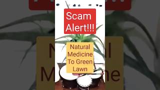 Celebrity Scam Alert! Green Lawn! Wealth