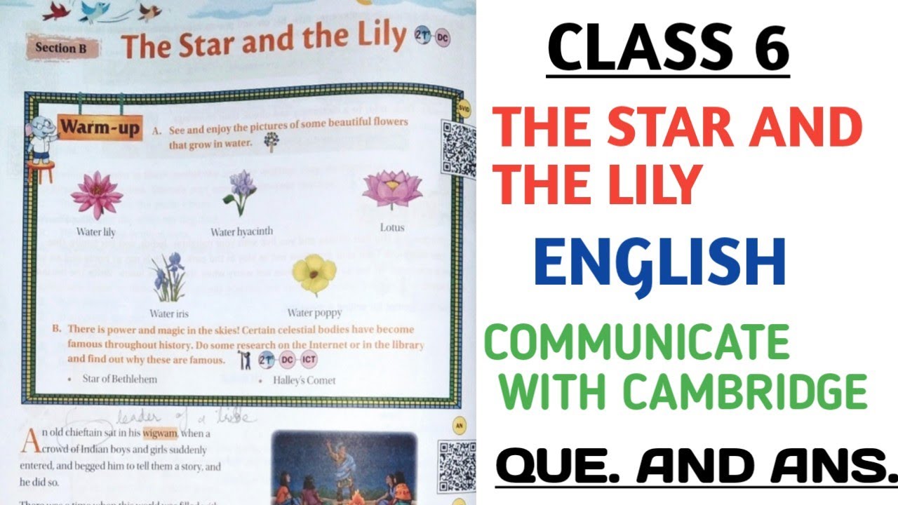 Class 6 the star and the lily communicate with cambridge que and