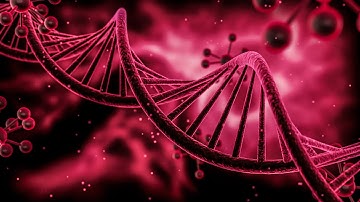DNA Replication Bubble the Simple Way